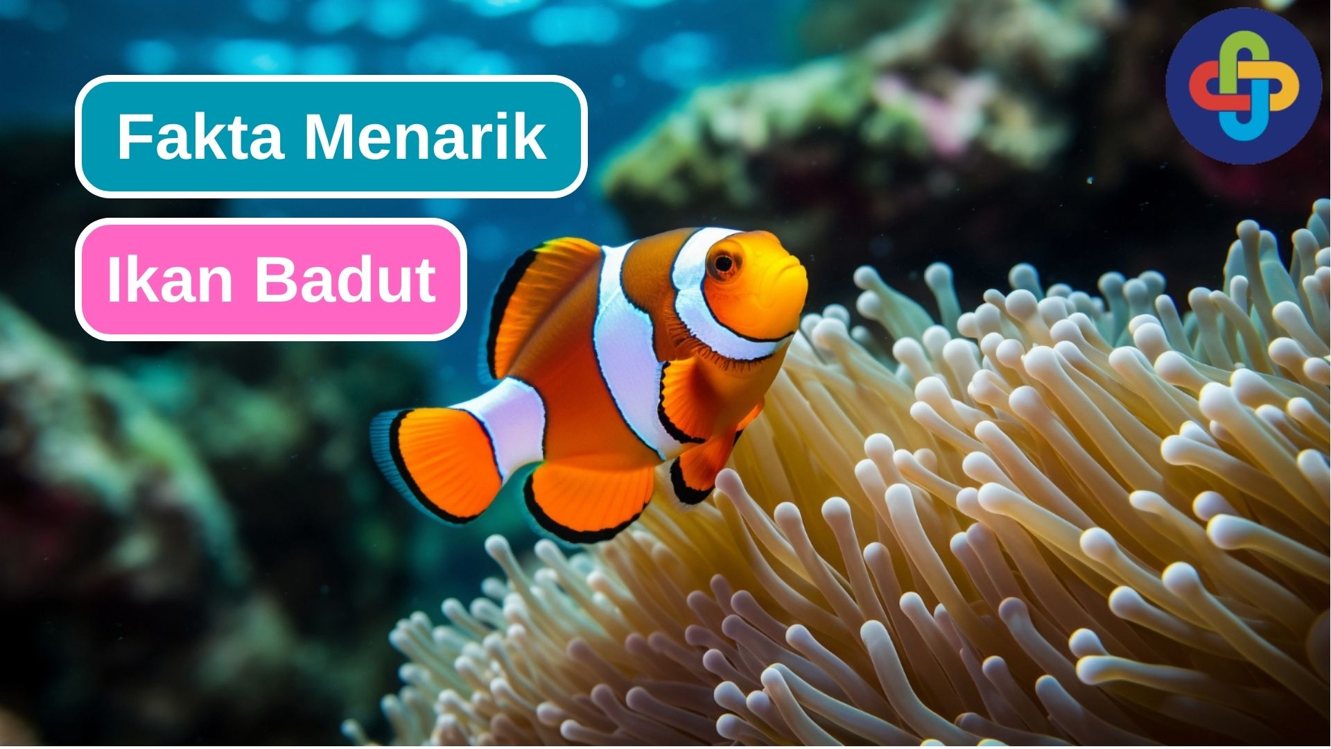 10 Fakta Menarik Ikan Badut yang Harus Kamu Tahu